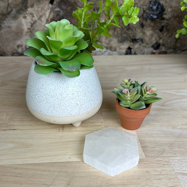 Selenite Charging Hexagon Plates- 3-inch, 5-inch-Charging Plates-Angelic Healing Crystals Wholesale