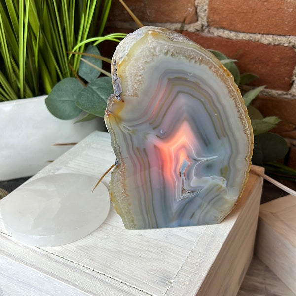 Agate Lamp 5-7" with bulb and cord (Blue, Pink, Natural, Purple) - Stunning Home Décor-Lamps-Angelic Healing Crystals Wholesale