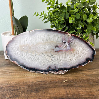 Agate Slice Statement Slab 10” on stand-Rocks & Fossils-Angelic Healing Crystals Wholesale
