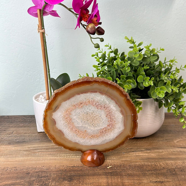 Agate Slice Statement Slab 10” on stand-Rocks & Fossils-Angelic Healing Crystals Wholesale