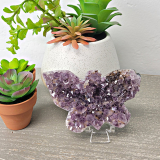 Amethyst Druzy Butterfly 3.75-6"-Carved Crystals-Angelic Healing Crystals Wholesale