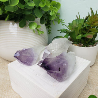 Amethyst Points Natural 2-3"-Rocks & Fossils-Angelic Healing Crystals Wholesale