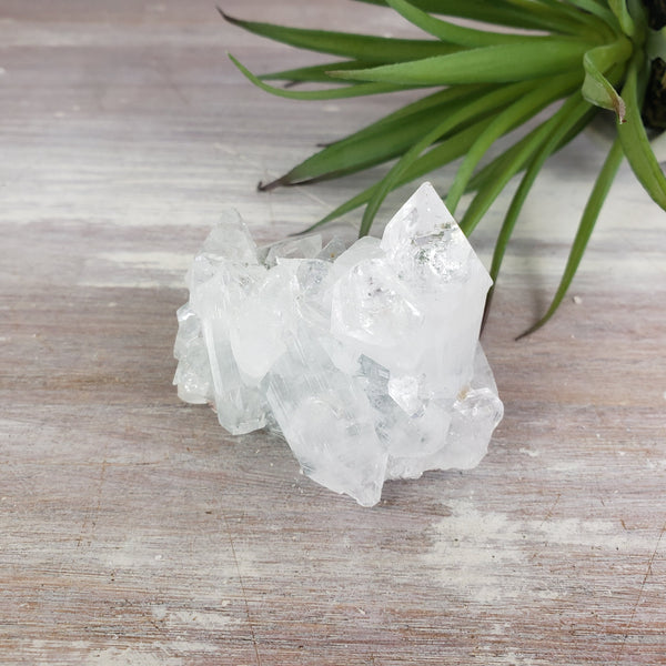 Apophyllite Cluster-3-6 Inch-Specimens-Angelic Healing Crystals Wholesale