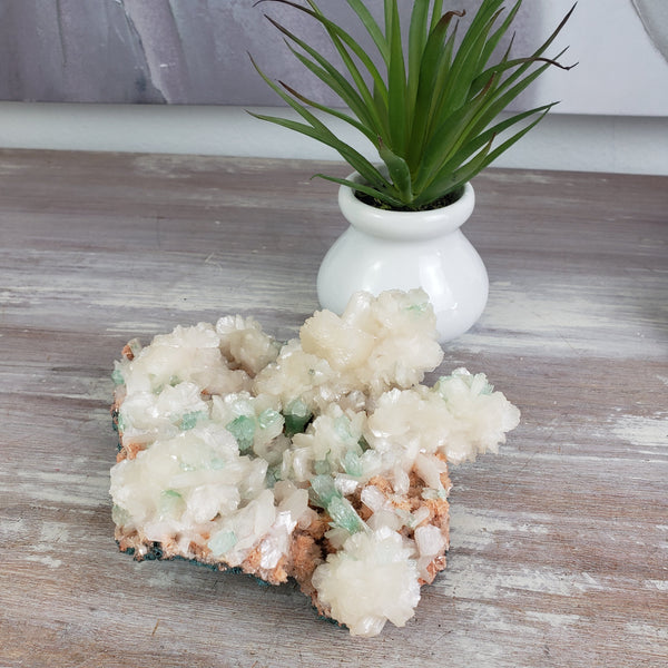 Apophyllite Cluster-3-6 Inch-Specimens-Angelic Healing Crystals Wholesale