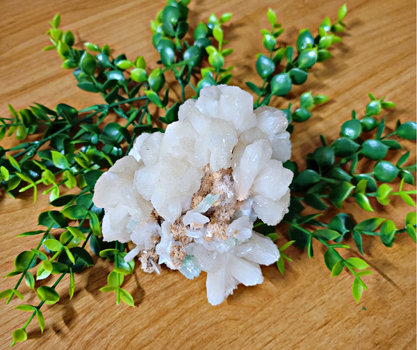 Apophyllite Cluster-3-6 Inch-Specimens-Angelic Healing Crystals Wholesale