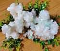 Apophyllite Cluster-7-8 inch-Specimens-Angelic Healing Crystals Wholesale