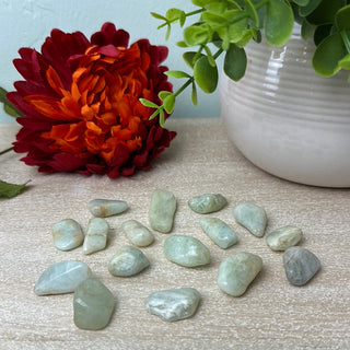 Aquamarine Tumbled Stone 0.5-1"-Loose Stones-Angelic Healing Crystals Wholesale