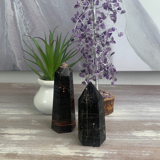 Black Tourmaline w/ Iron Polished Pillars-Variants-Pillars-Angelic Healing Crystals Wholesale