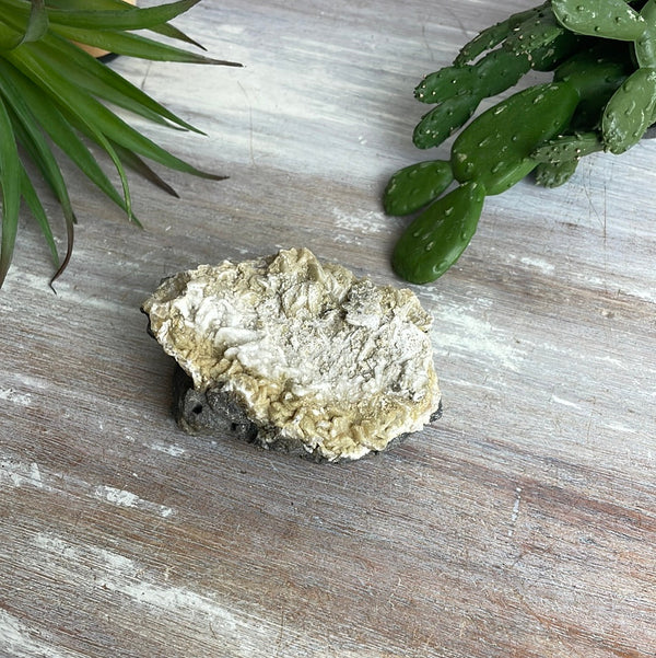 Calcite Geodes 4.5-6"-Specimens-Angelic Healing Crystals Wholesale