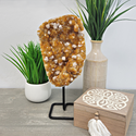 Citrine Cluster on Stand 4-12"-Specimen on Stand-Angelic Healing Crystals Wholesale