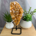 Citrine Cluster on Stand 4-12"-Specimen on Stand-Angelic Healing Crystals Wholesale