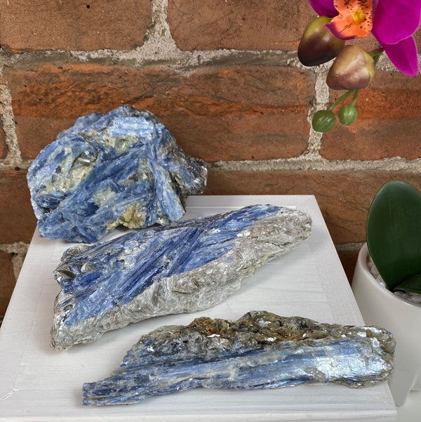 Kyanite Rough Specimen 4.01-5.9”-Rocks & Fossils-Angelic Healing Crystals Wholesale
