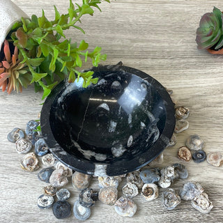 Orthoceras Fossil Bowl- 4", 5", and Freeform-Bowls-Angelic Healing Crystals Wholesale