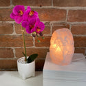 Rough Rose Quartz Lamp with bulb and cord-Lamps-Angelic Healing Crystals Wholesale