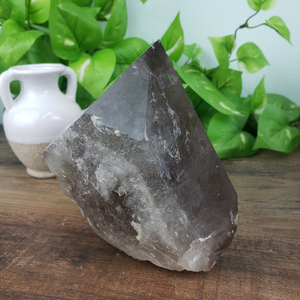 Smoky Quartz Statement Piece - 6 to 8" tall-Specimen-Angelic Healing Crystals Wholesale