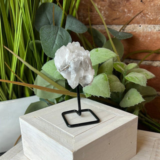 Tourmalated Quartz Specimen on Stand 3"-Specimen on Stand-Angelic Healing Crystals Wholesale